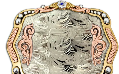 Ejemplo de hebilla grabada, modelo de catálogo 27